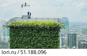 Skilled workers install a vibrant rooftop garden atop a tall building with stunning city views in the background, enhancing urban greenery. Стоковое AI-видео, аниматор Данила Большаков / Фотобанк Лори