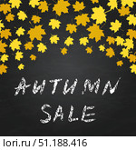 Autumn Sale written on chalkboard background. Imitation of chalk lettering. Seasonal sale banner. Fall leaves  confetti. Grunge vector illustration. Стоковая иллюстрация, иллюстратор Вера Федорова / Фотобанк Лори