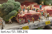 Miniature figures in grocery store create farming scene with broccoli and steak. Стоковое AI-видео, аниматор Ekaterina Ismagilova / Фотобанк Лори