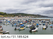 Lyme Regis Harbour with Moored Boats and Beachfront. Lyme Regis, UK, 3 July 2024. Редакционное фото, фотограф Zydrius Tartenis / Фотобанк Лори
