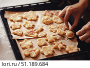 Family Gathers in Warm Kitchen to Create Festive Cookies With Fun Shapes and Decorations. Стоковое фото, фотограф Aleksandr Golubev / Фотобанк Лори