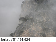 Misty fog draping rocky mountain slopes, veiling rugged trees and clinging vegetation, generating atmospheric landscape mystique. Стоковое фото, фотограф Данил Руденко / Фотобанк Лори