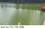 Водная поверхность Барского пруда усадьбы Гребнево колышется от ветра. Редакционное видео, видеограф Владимир Шипикин / Фотобанк Лори