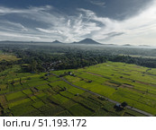 Rice Terrace, Ubud, Bali, Indonesia. Top view. Стоковое фото, фотограф Степанов Григорий / Фотобанк Лори