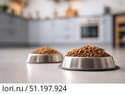 Pet Food Two Bowls on a White Floor. Dining Room Background. Pet Food Banner. Domestic Animals Dry Food. Lot of Dry Granules of Crunchy Dog or Cat Animal Feed Pile. Pet Shop, Delivery. Healthy Treat. Стоковое AI-изображение, AI-художник Марина Демидюк / Фотобанк Лори