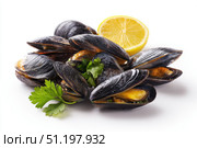Mussels isolated on white background. Gourmet Spicy Mussels opened garnished with fresh green parsley and lemon slices served. Asian Style. Delicious seafood. Clams in the shells. Shellfish food. Стоковое AI-изображение, AI-художник Марина Демидюк / Фотобанк Лори