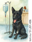 A black dog undergoing treatment in a veterinary clinic. The animal is sitting on the floor with a bandage on its paw, to which a drip with a clear liquid is connected. The dog looks calm and friendly, with an open mouth and a protruding tongue, which symbolizes trust in people and hope for recovery. In the background, a medical table with a bottle and bandages is visible, which emphasizes the atmosphere of the clinic. The work is done in watercolor technique, with soft and detailed shades, which gives the scene a touching and emotional feel. Стоковое AI-изображение, AI-художник Анна Кривицкая / Фотобанк Лори