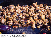 Various vegetables in a huge cauldron are cooked in oil. Стоковое фото, фотограф Наталия Кирсанова / Фотобанк Лори