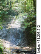 Waterfall in a dense forest, water pours over a rock. Стоковое фото, фотограф Наталия Кирсанова / Фотобанк Лори