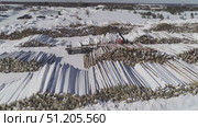 aerial photography of unloading logs from a car trailer using a manipulator. Стоковое видео, видеограф Алексей Сергеев / Фотобанк Лори