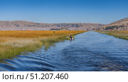 A motorboat loaded with reeds floats on a blue lake. People and a dog on board. The waterway between the reed beds. In the distance, the Puno town on the mountainside. Clear sky. Peru. Lake Titicaca. Стоковое фото, фотограф Вера Ивановна Кубарева / Фотобанк Лори