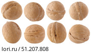 Walnuts isolated on a white background. Стоковое фото, фотограф Дмитрий Цветков / Фотобанк Лори