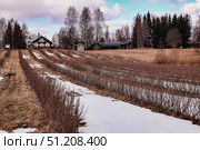 Through the Snow Melts in Springtime at a Karelian Farm. Стоковое фото, фотограф Aleksandr Golubev / Фотобанк Лори