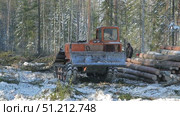 work skidder logging in winter. Стоковое видео, видеограф Алексей Сергеев / Фотобанк Лори