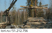 work skidder logging in winter. Стоковое видео, видеограф Алексей Сергеев / Фотобанк Лори