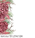 Roses pine dry branches frame square watercolor. Стоковая иллюстрация, иллюстратор Андрей Золотарев / Фотобанк Лори