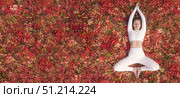 Woman practicing yoga in a serene autumn setting surrounded by vibrant leaves. A woman is engaged in health and fitness on a carpet of red leaves autumn flat lay. Стоковое фото, фотограф Владимир Разгуляев / Фотобанк Лори