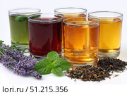 Glasses of tea with different types and colors infused with herbs, on a white background. The teas are green, black, red, purple, and yellow oolong, with loose leaf tea leaves with mint and lavender. Стоковое AI-изображение, AI-художник Марина Демидюк / Фотобанк Лори