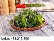 Fresh green ruccola salad leaves. Стоковое фото, фотограф Андрей Старостин / Фотобанк Лори