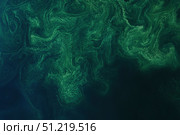 Satellite view of a late-summer phytoplankton bloom swirling in the Baltic Sea. Stocktrek Images, Inc./TASS. Стоковое фото, агентство ТАСС / Фотобанк Лори