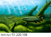 Holoptychius, Tulerpeton and Moythomasia, prehistoric fish of the Devonian period. Yuriy Priymak/Stocktrek Images/TASS. Стоковое фото, агентство ТАСС / Фотобанк Лори
