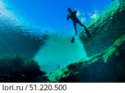 Freediver at Jackson Blue Springs in Marianna, Florida. Jennifer Idol/Stocktrek Images/TASS. Стоковое фото, агентство ТАСС / Фотобанк Лори