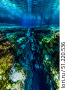Ginnie Springs in Florida. Jennifer Idol/Stocktrek Images/TASS. Стоковое фото, агентство ТАСС / Фотобанк Лори