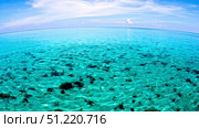 The North Sound on a flat calm morning, Grand Cayman. Amanda Nicholls/Stocktrek Images/TASS. Стоковое фото, агентство ТАСС / Фотобанк Лори