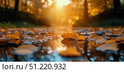 Autumn Leaves Reflect in Water During Sunset in a Serene Forest. Стоковое AI-изображение, AI-художник Юлия Гапеенко / Фотобанк Лори