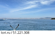 Seagulls Flying Above Bosporus Strait in Istanbul Sailboat and yacht racing in the Bosphorus and the Sea of Marmara Bosphorus Strait in Istanbul, Turkey Beautiful view of the Bosphorus shore on a sunny day, full of residential houses, Istanbul, Turkey. A wide view of the Bosphorus Strait in Istanbul, with the city's skyline and coastal buildings in the background. A ship sails across the calm waters under the clear blue sky. Стоковое фото, фотограф Zita Khasanova / Фотобанк Лори