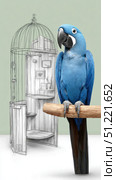 Hyacinth macaw perching on wooden branch, intricate bird cage sketch revealing artistic interplay between natural avian beauty and creative illustration. Стоковое AI-изображение, AI-художник Юрий Поздников / Фотобанк Лори