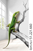 Green anole lizard perching on sketched branch, casting shadow against minimalist white interior with soft window light. Стоковое AI-изображение, AI-художник Юрий Поздников / Фотобанк Лори