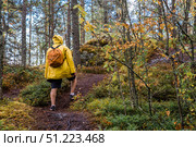 Tourism. Hiking. Ladoga skerries on Lake Ladoga. A male tourist in a yellow raincoat with a backpack on the stone islands in the forest. Republic of Karelia, Russia. Стоковое фото, фотограф Photojuli / Фотобанк Лори