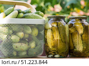 Fresh cucumbers in a basket and crispy pickled cucumbers in a transparent glass jar. Pickled cucumbers with dill and garlic. Delicious canned vegetables. Cucumbers for the winter. Стоковое фото, фотограф Photojuli / Фотобанк Лори
