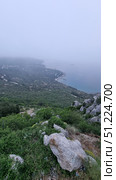 A picturesque view from the Laspi observation deck, located on the southern coast of Crimea. From the heights, a panorama of the coastline stretching into the distance in a light haze opens up. In the foreground, massive rocks, green bushes and mountain grasses are visible. Below, dense forests stretch out, turning into a coastal zone with houses, roads and piers. The sea is calm, bluish-gray, with ships visible on the horizon. The atmosphere is filled with misty softness and a sense of space, and the shooting point itself emphasizes the grandeur of Crimean nature and the harmony of the mountain and sea landscape. Стоковое фото, фотограф Анна Кривицкая / Фотобанк Лори