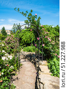 Stone garden path with a metal arch decorated with pink climbing roses, surrounded by lush greenery and colorful blooming flowers under blue sky. Стоковое фото, фотограф Татьяна Терехина / Фотобанк Лори