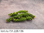 Green pepper corn on the branch. Стоковое фото, фотограф Андрей Старостин / Фотобанк Лори