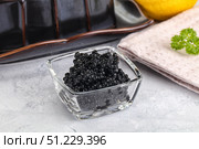 black sturgeon caviar in the bowl. Стоковое фото, фотограф Андрей Старостин / Фотобанк Лори