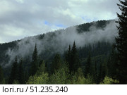 Misty Mountain Landscape with Evergreen Trees and Clouds. Стоковое фото, фотограф Igor Bastrakov / Фотобанк Лори