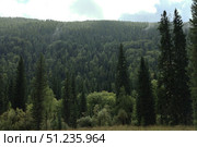 A Lush Green Forest Landscape Extending Beneath a Cloudy Sky. Стоковое фото, фотограф Igor Bastrakov / Фотобанк Лори
