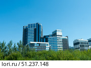 Modern Architectural Designs of High-Rise Buildings Surrounded by Lush Greenery Against a Clear Blue Sky. Стоковое фото, фотограф Владимир Федоров / Фотобанк Лори
