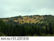 A Beautiful Scenic Mountain Landscape Featuring Lush Greenery. Стоковое фото, фотограф Igor Bastrakov / Фотобанк Лори