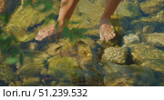 Person walking barefoot on shallow rocky stream with clear flowing water of river. Стоковое видео, видеограф Ольга Сухарева / Фотобанк Лори