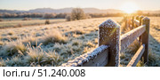 Frosty morning sunlight illuminating a tranquil countryside with a wooden fence and icy grass. Стоковое AI-изображение, AI-художник Ольга Невская / Фотобанк Лори
