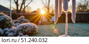 Frosty morning in a garden with sunlight breaking through trees and illuminating snow-covered plants. Стоковое AI-изображение, AI-художник Ольга Невская / Фотобанк Лори