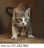 Котёнок на коричневом фоне смотрит в камеру фотографа. Стоковое AI-изображение, AI-художник Руслан Лесков / Фотобанк Лори