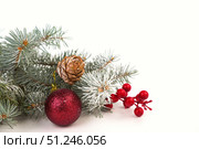 Christmas card with fir branches and Christmas decorations. Copy space. Стоковое фото, фотограф Ирина Толокновская / Фотобанк Лори