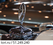 Gleaming Mercedes-Benz 300 SC Cabriolet (1957) Hood Ornament Close-Up. Стоковое фото, фотограф Sergakoff / Фотобанк Лори