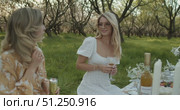 Enjoying an Elegant Outdoor Picnic with Friends in a Beautifully Serene Orchard Setting. Стоковое видео, видеограф Cantemir Dumitru / Фотобанк Лори