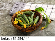 Raw gherkin cucumbers in the bowl. Стоковое фото, фотограф Андрей Старостин / Фотобанк Лори